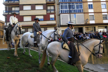 Día del caballo en las Ferias de Marcilla