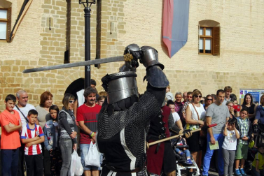 Este pasado domingo, 15 de octubre, se celebró en Marcilla la sexta edición de su Fiesta Medieval y su feria de ganado bovino exótico. Según el Ayuntamiento de la localidad, esta recibió más visitantes que nunca