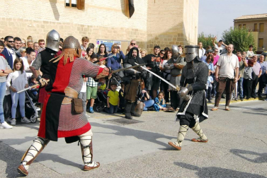 Este pasado domingo, 15 de octubre, se celebró en Marcilla la sexta edición de su Fiesta Medieval y su feria de ganado bovino exótico. Según el Ayuntamiento de la localidad, esta recibió más visitantes que nunca