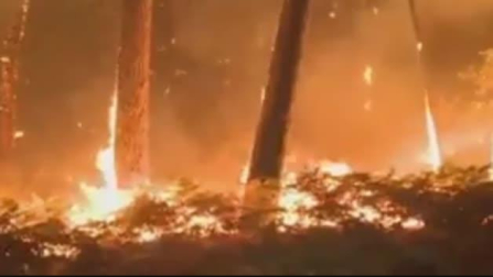 El infierno al que se enfrentan los bomberos en Galicia