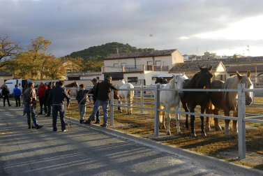 Imágenes de esta actividad en la localidad navarra.