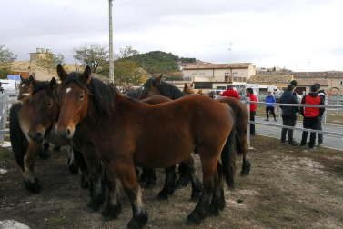 Imágenes de esta actividad en la localidad navarra.
