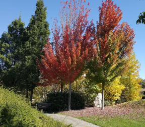 El otoño, retratado por los lectores de Diariodenavarra.es.