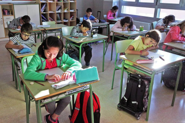 Escolares del CP Lorenzo Goicoa