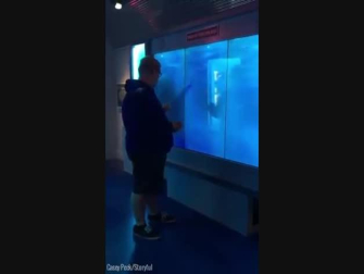 Cuando los tiburones atacan en el Museo de Espionaje Internacional