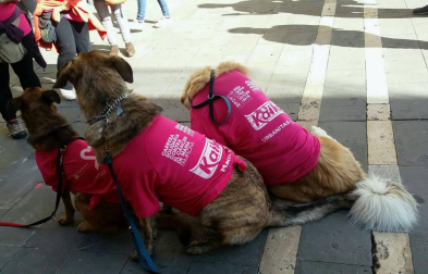 Pamplona se tiñe de rosa en la carrera contra el cáncer de mama