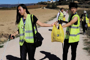 Cada 4 meses, voluntarios japoneses recorren las cunetas de la ruta jacobea en Navarra para recoger basura. Así se vive una etapa a su lado