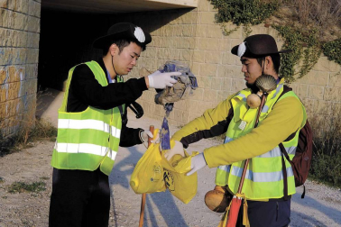 Cada 4 meses, voluntarios japoneses recorren las cunetas de la ruta jacobea en Navarra para recoger basura. Así se vive una etapa a su lado