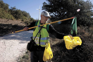 Cada 4 meses, voluntarios japoneses recorren las cunetas de la ruta jacobea en Navarra para recoger basura. Así se vive una etapa a su lado