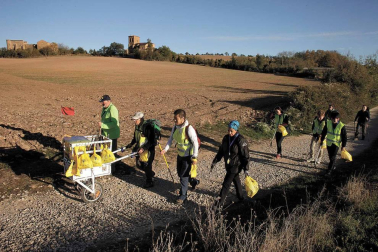 Cada 4 meses, voluntarios japoneses recorren las cunetas de la ruta jacobea en Navarra para recoger basura. Así se vive una etapa a su lado