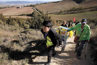 Cada 4 meses, voluntarios japoneses recorren las cunetas de la ruta jacobea en Navarra para recoger basura. Así se vive una etapa a su lado