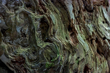 Irati se convierte en otoño en la primera opción de muchos excursionistas