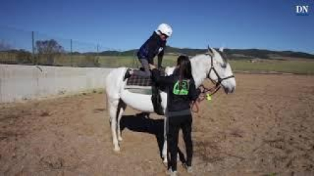 Un diván a lomos de un caballo
