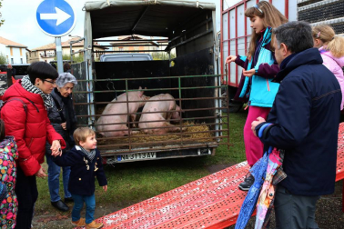 Como cada año por San Martín, esta pequeña localidad de la comarca de Aoiz multiplica sus apenas 400 habitantes, gracias a una tradición comercial centenaria