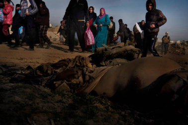 El fotógrafo 'freelance' Ricardo García Vilanova expone en Baluarte medio centenar de fotografías sobre el inicio del conflicto en Siria, en 2011, cómo ha evolucionado y su expansión a Irak y Libia. Primeros planos para intentar no sentirlos lejos.