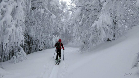 Fotos de la nieve enviadas por los lectores
