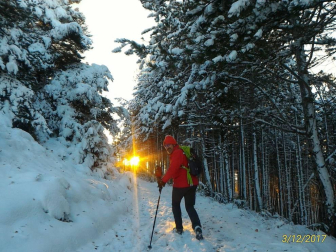 Fotos de la nieve enviadas por los lectores