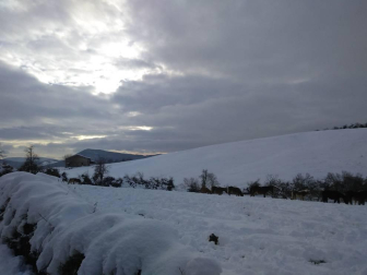 Fotos de la nieve enviadas por los lectores