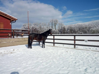 Fotos de la nieve enviadas por los lectores