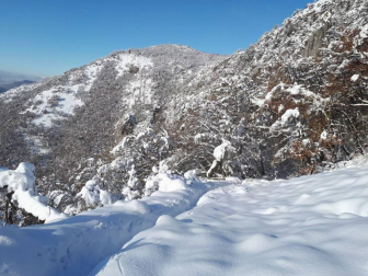 Fotos de la nieve enviadas por los lectores