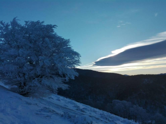 Fotos de la nieve enviadas por los lectores