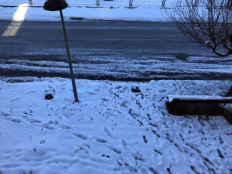 Fotos de la nieve enviadas por los lectores