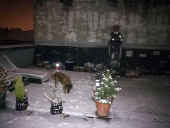 Fotos de la nieve enviadas por los lectores