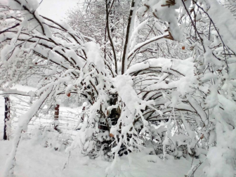 Fotos de la nieve enviadas por los lectores