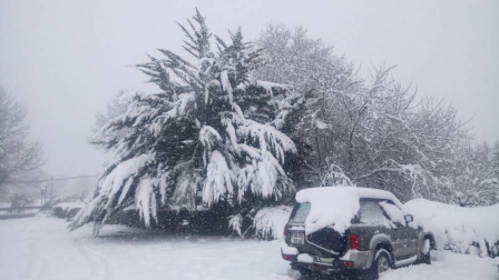 Fotos de la nieve enviadas por los lectores