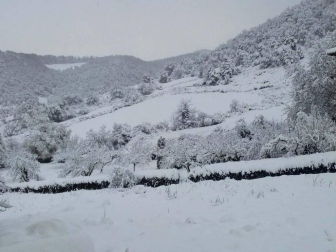 Fotos de la nieve enviadas por los lectores