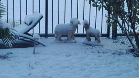 Fotos de la nieve enviadas por los lectores