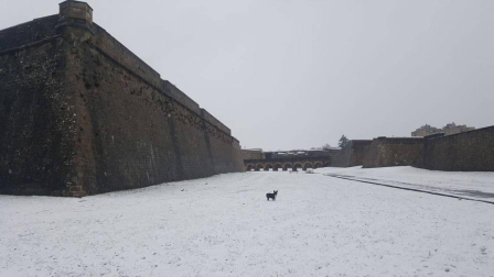 Fotos de la nieve enviadas por los lectores