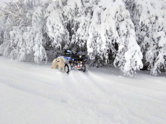 Fotos de la nieve enviadas por los lectores