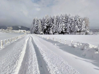 Fotos de la nieve enviadas por los lectores