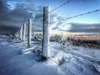 Fotos de la nieve enviadas por los lectores
