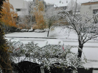 Fotos de la nieve enviadas por los lectores