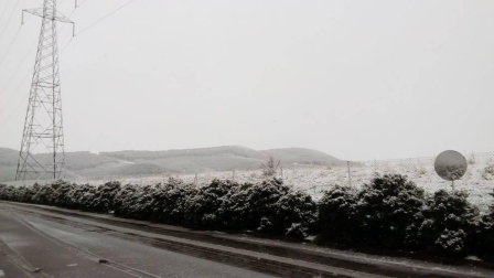 Fotos de la nieve enviadas por los lectores