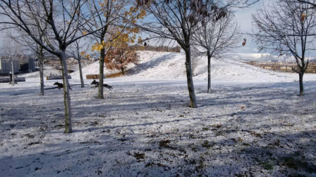 Fotos de la nieve enviadas por los lectores