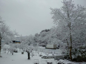 Fotos de la nieve enviadas por los lectores