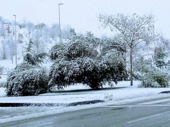 Fotos de la nieve enviadas por los lectores