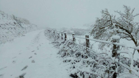 Fotos de la nieve enviadas por los lectores