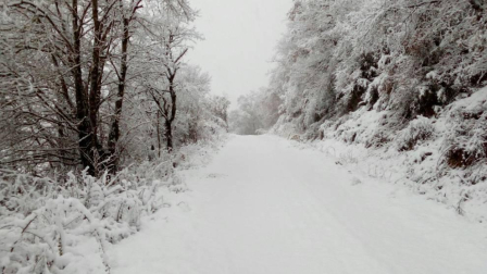 Fotos de la nieve enviadas por los lectores