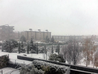Fotos de la nieve enviadas por los lectores