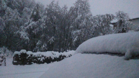 Fotos de la nieve enviadas por los lectores