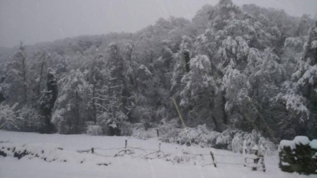 Fotos de la nieve enviadas por los lectores