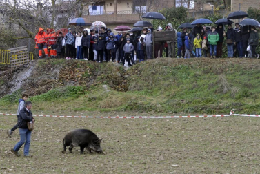 Desde los pedazos más pequeños por 5€ hasta lo que los bolsillos de los compradores se pudieran permitir, la XVI Feria de la Trufa vendió este esquisto producto a 1.000€ el kilo.