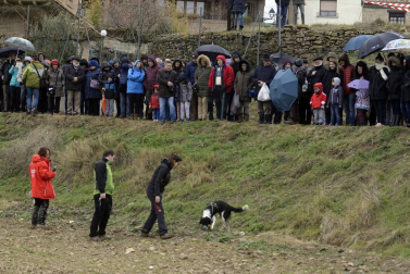 Desde los pedazos más pequeños por 5€ hasta lo que los bolsillos de los compradores se pudieran permitir, la XVI Feria de la Trufa vendió este esquisto producto a 1.000€ el kilo.