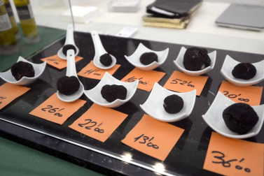Desde los pedazos más pequeños por 5€ hasta lo que los bolsillos de los compradores se pudieran permitir, la XVI Feria de la Trufa vendió este esquisto producto a 1.000€ el kilo.