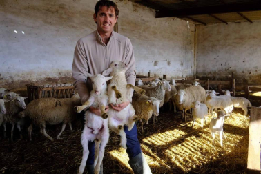 ¿Qué no debe faltar en casa por Navidad?  La respuestas llegan desde Etxauri, Bidaurreta, Lodosa, Mendavia, Falces, Bardenas y Fustiñana. Todas coinciden.