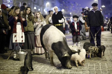 Miles de personas acompañaros al carbonero en su visita a la capital navarra.